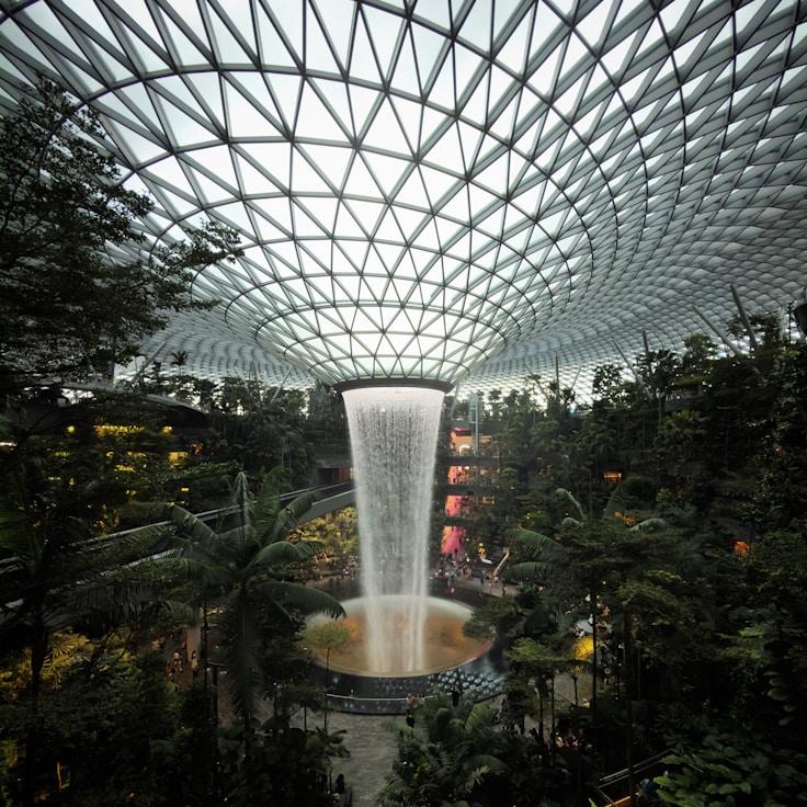 Dining out as an expat family in Italy