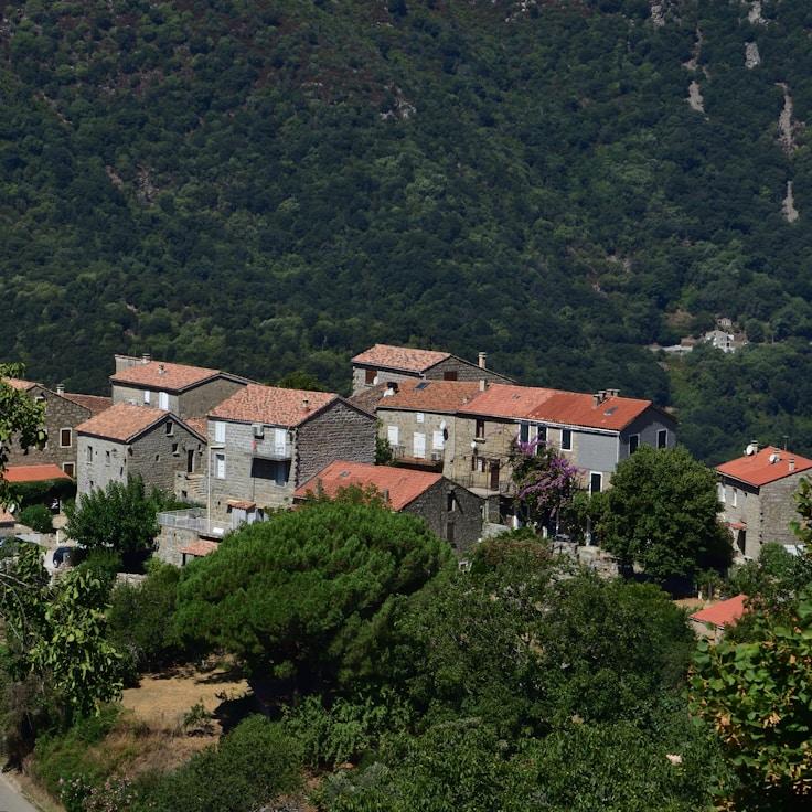 Family terraces and cafГ©s for calm evenings in Florence